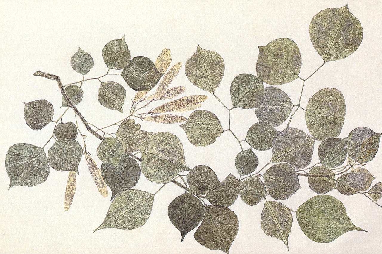 The Ultimate Guide to Botanical Painting